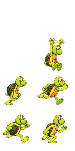 Tortoise Run