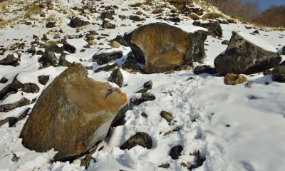 A ‘Killing Stone’ Broke in Japan. Is a Demon on the Loose?