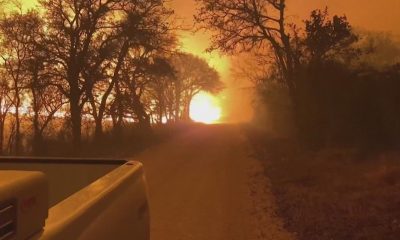 Wildfire risk remains high for much of Texas in the days ahead, fire officials say