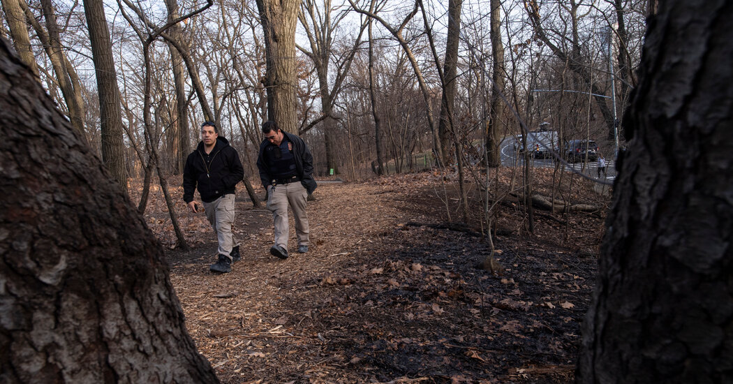 Central Park Brush Fires May Have Been Deliberately Set, Officials Say