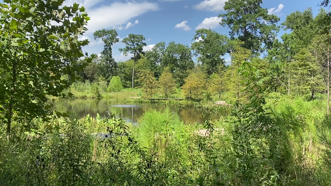 HFD planning prescribed fire at Houston Arboretum near West Loop, Woodway Drive