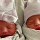 Twins born at 22 weeks go home after 4 months in the NICU