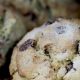 Novato’s Dr. Insomniac’s Coffee and Tea serves scone-muffin mash-up, ‘The Scuffin’