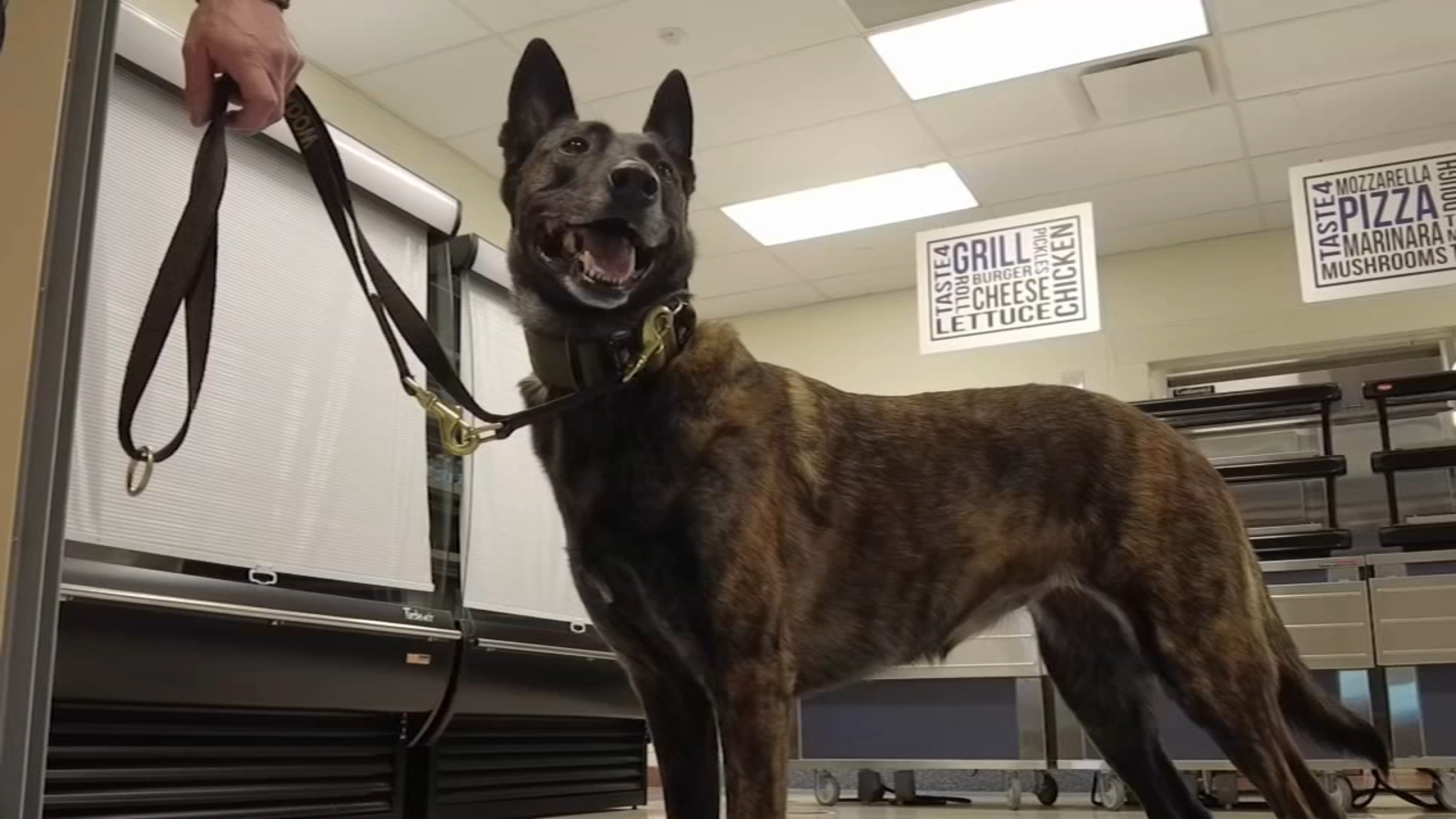 K-9 training program expands to engage active shooters in schools