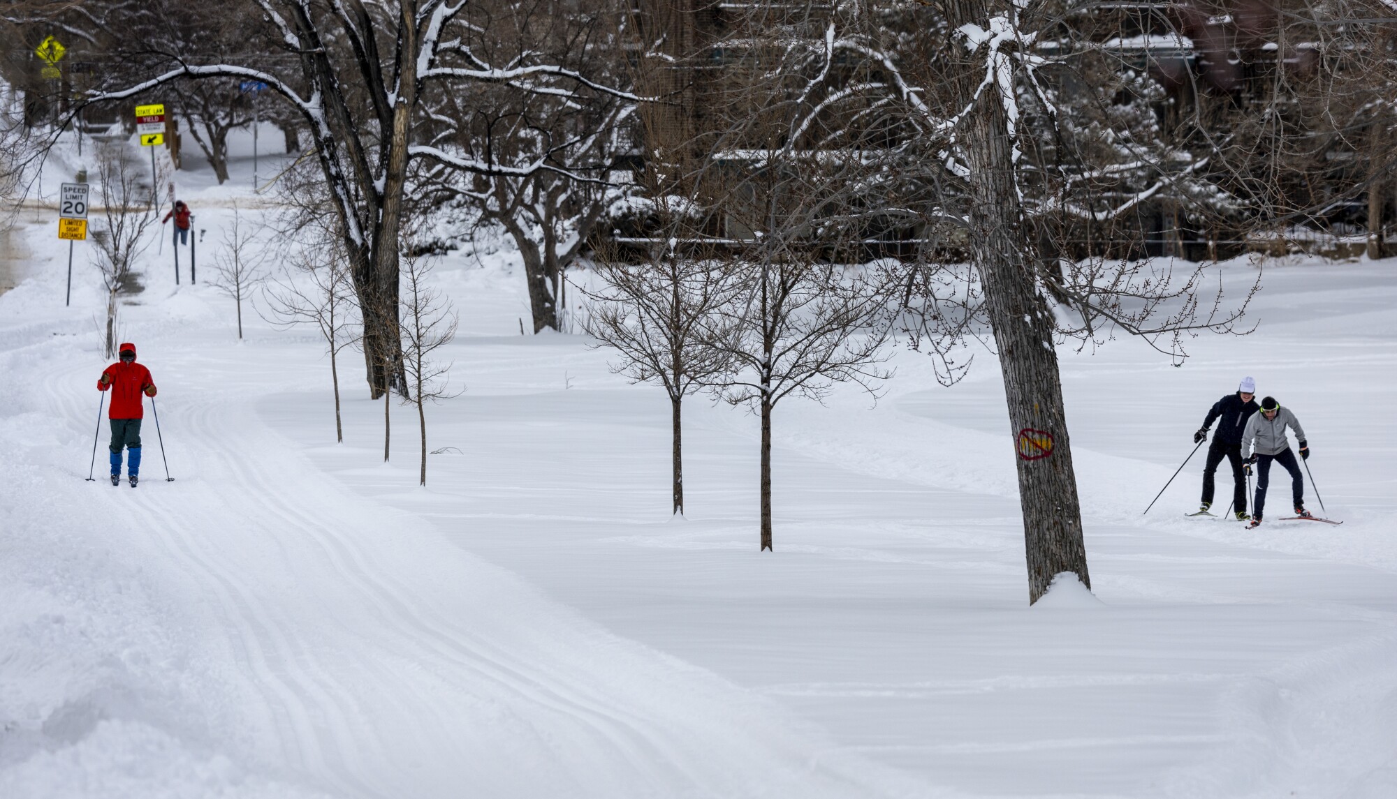 Dr Warren Hern, left, takes solace in cross-country skiing near his home after a fresh snowfall.