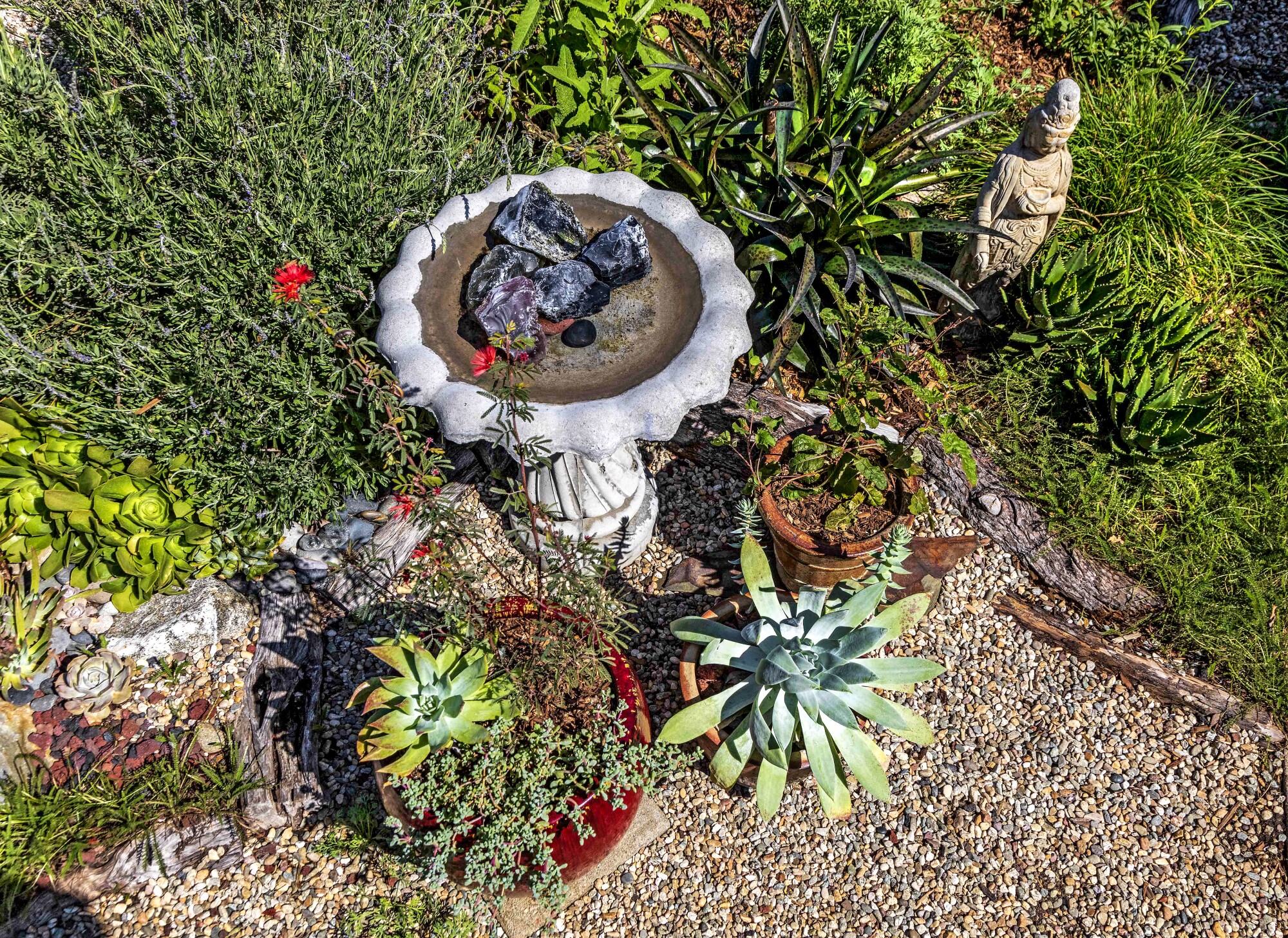 A birdbath surrounded by potted plants and pea gravel