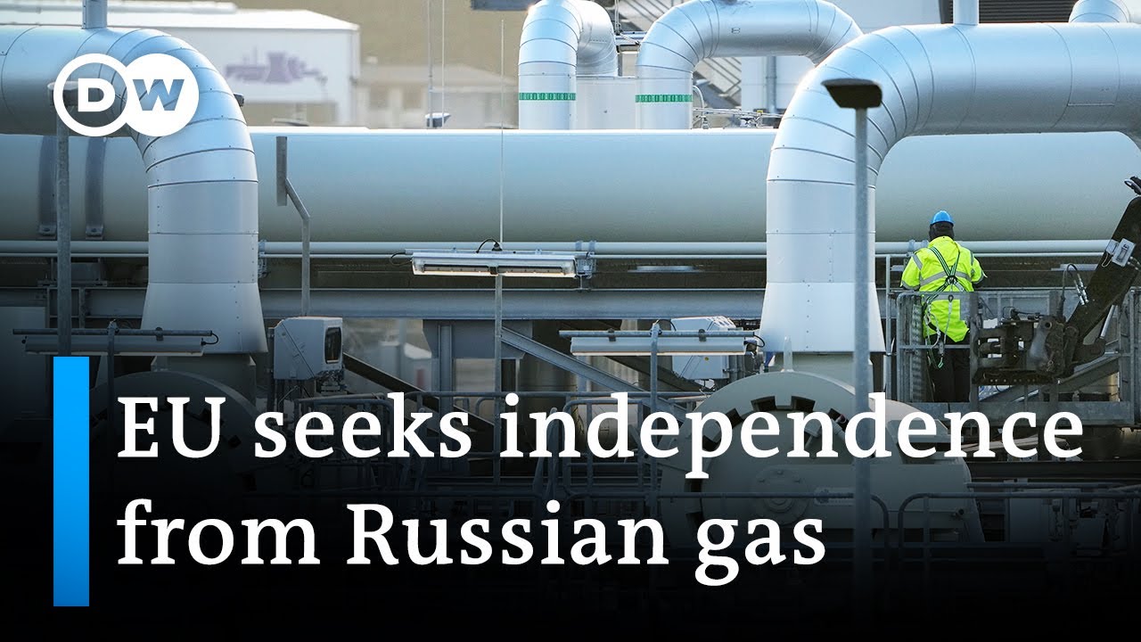 EU unveils plan to reduce Russia energy dependency | DW Business News