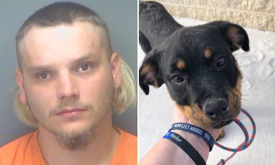 Florida man arrested after kicking puppy in face, tells cops he was upset dog ate his food at beach: Police