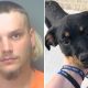 Florida man arrested after kicking puppy in face, tells cops he was upset dog ate his food at beach: Police