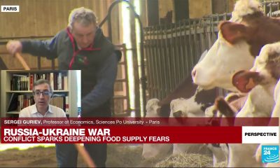 Economics Professor Sergei Guriev: ‘War in Ukraine could lead to meltdown of global food system’