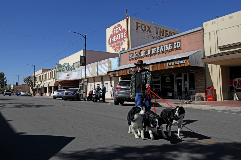 A man walks three dogs