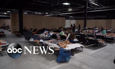 Warsaw mayor on refugee crisis: ‘We can’t improvise anymore’ I ABCNL