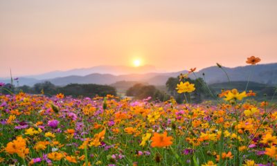 When is the first day of spring?