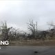 Tornadoes leave trail of destruction in Texas