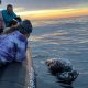 Two whales give tour group a thrilling encounter off Newport Beach coast