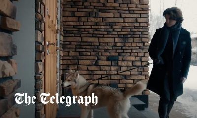 Russia releases bizarre dog propaganda video as it calls for end to 'hate' campaign