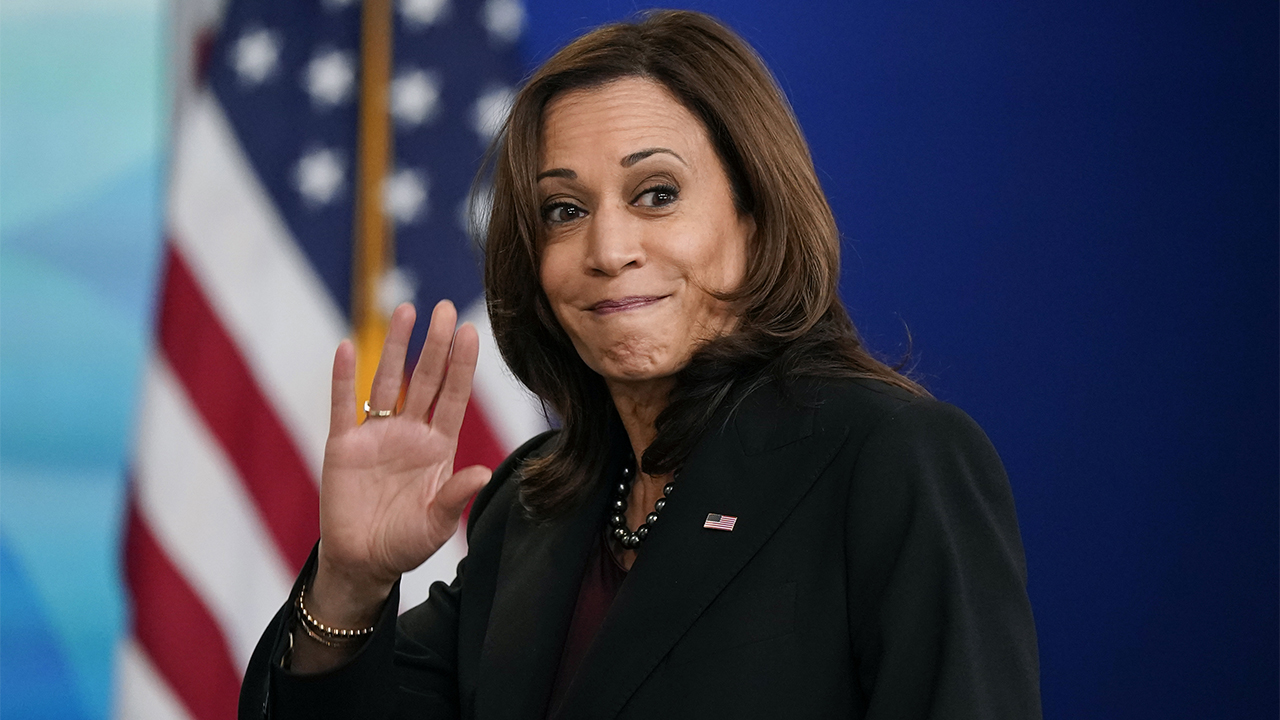 Gingrich slams Kamala Harris’ ‘rambling’ speeches in Louisiana, abroad: ‘Total humiliation’