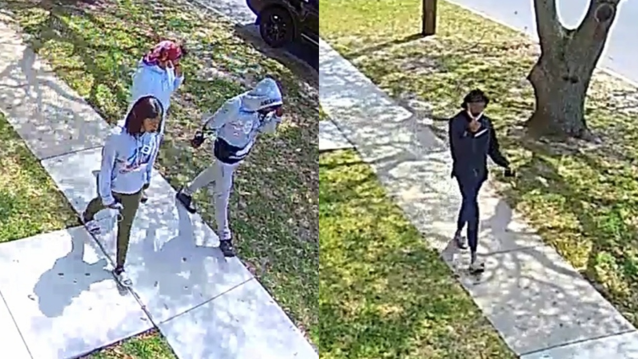 New Orleans police release video of 4 suspects arrested in carjacking death of 73-year-old woman