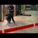 Four killed in knife attack in southern Israel • FRANCE 24 English
