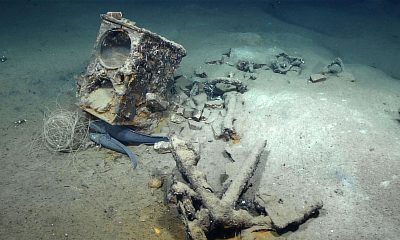 Wreck of only sunken Gulf whaler discovered 190 years later