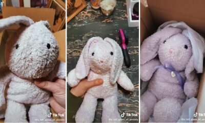 Woman finds lost stuffed bunny and wants to locate its owner: ‘Looks like it was pretty loved’