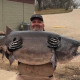 Illinois man catches 140-pound paddlefish, setting new fishing record in Missouri