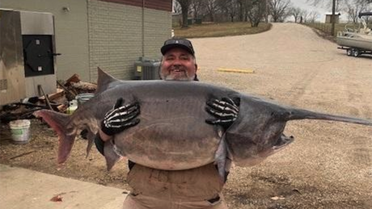 Illinois man catches 140-pound paddlefish, setting new fishing record in Missouri