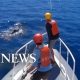 Entangled humpback whale cleared of marine debris off Maui l ABC News