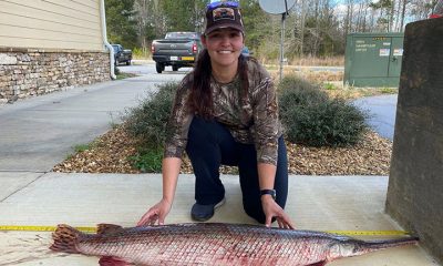 Georgia angler catches record longnose gar