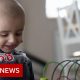 Children with cancer evacuated from Russian war on Ukraine – BBC News