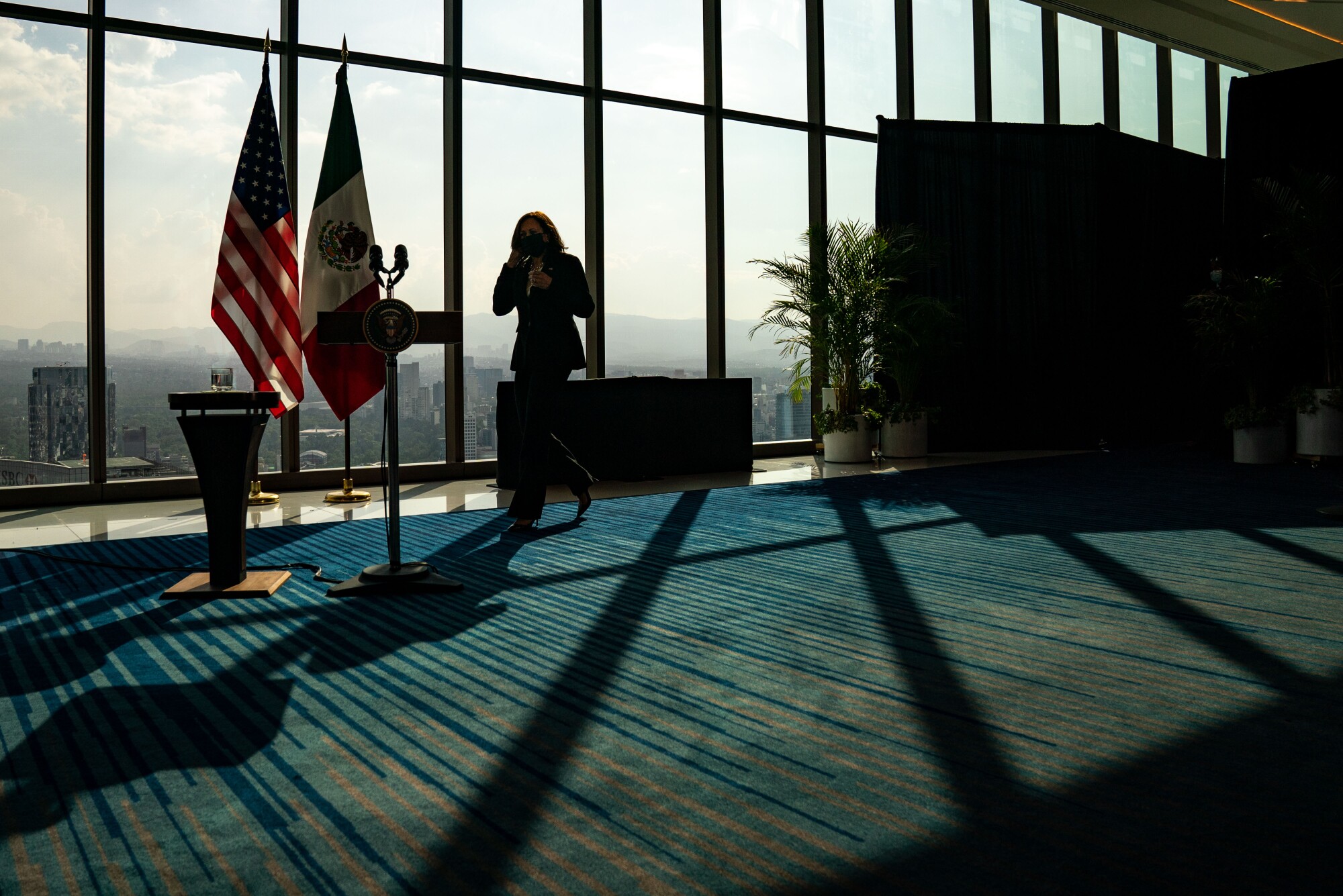 Vice President Kamala Harris on her first international trip visited Guatemala and Mexico.