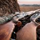 Why Colorado hunting has risen significantly in popularity