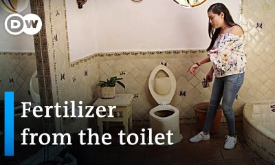 Mexico: Organic fertilizer from the toilet | Global Ideas