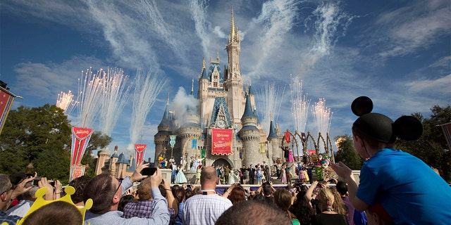 Fireworks go off around Cinderella's castle during the grand opening ceremony for Walt Disney World's Fantasyland in Lake Buena Vista, Florida, Dec. 6, 2012.