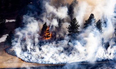 Colorado wildfire forces evacuation orders for 19K people