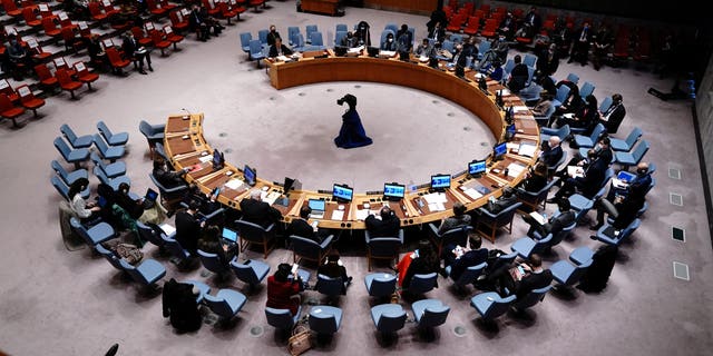 FILE PHOTO: A general view of the United Nations Security Council meeting after Russia's invasion of Ukraine, at the United Nations Headquarters in Manhattan, New York City, New York, U.S. February 28, 2022. 