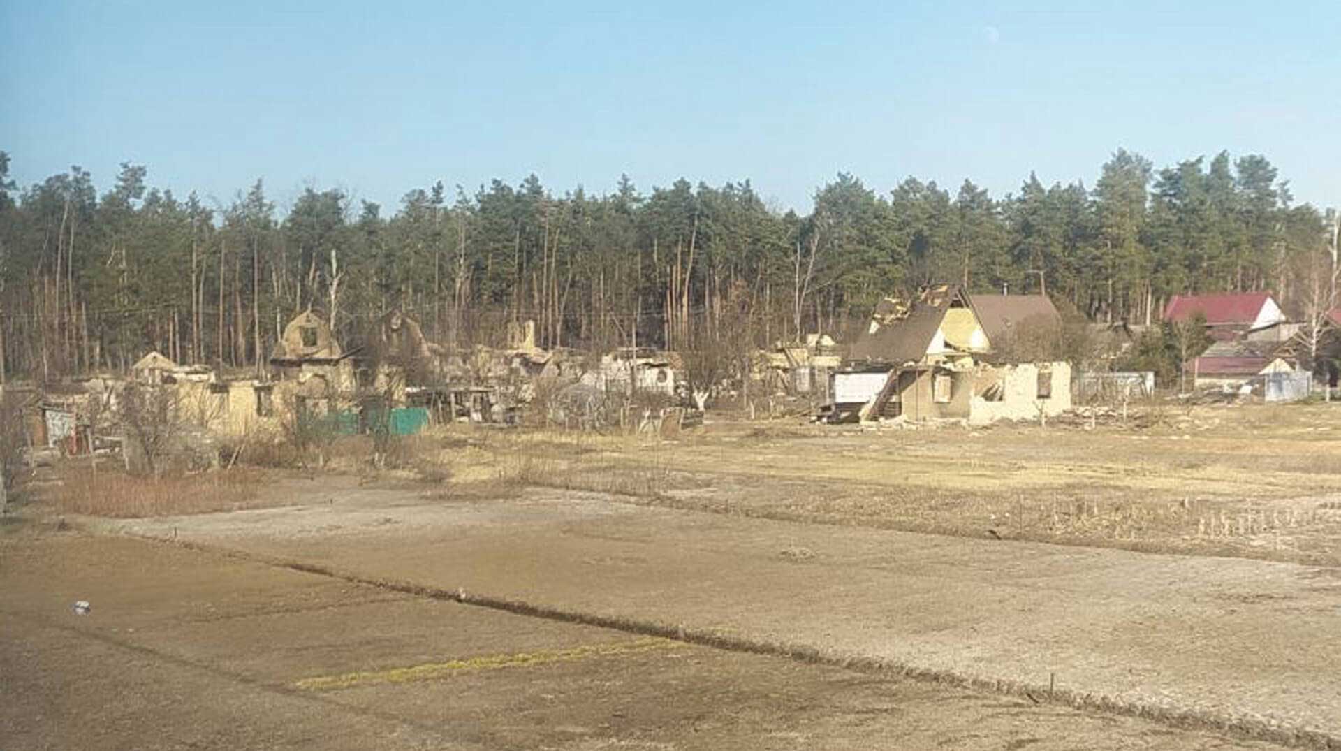 A field with houses destroyed in and trees damaged
