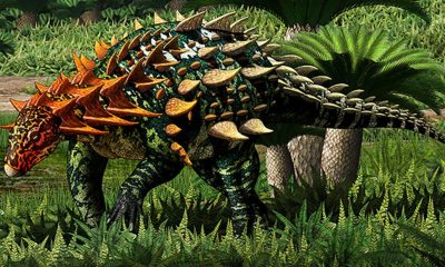 A new armored dinosaur species from the early Jurassic period was discovered in China