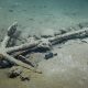The Wreck of an 1830s Whaler Offers a Glimpse of America’s Racial History