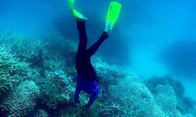 ‘Can’t Cope’: Australia’s Great Barrier Reef Suffers 6th Mass Bleaching Event