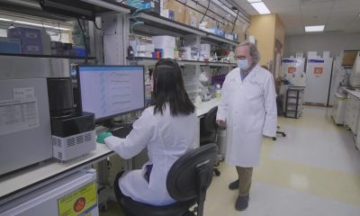 New MD Anderson research institute sets sights on providing immunotherapy to all cancer patients