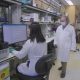 New MD Anderson research institute sets sights on providing immunotherapy to all cancer patients