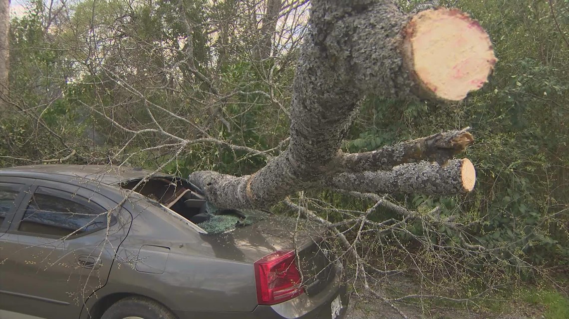 Tornado touches down in Madisonville, Texas, causing extensive damage