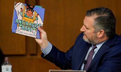 Ted Cruz ‘Antiracist Baby’ comments cause Amazon book sales to spike