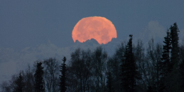 The full moon disappears from view in Soldotna, Alaska, as it sets Wednesday, Nov. 28, 2012, behind peaks in the Alaska Range shortly before sunrise.(AP Photo/Peninsula Clarion, M. Scott Moon) MAGS OUT; NO SALES