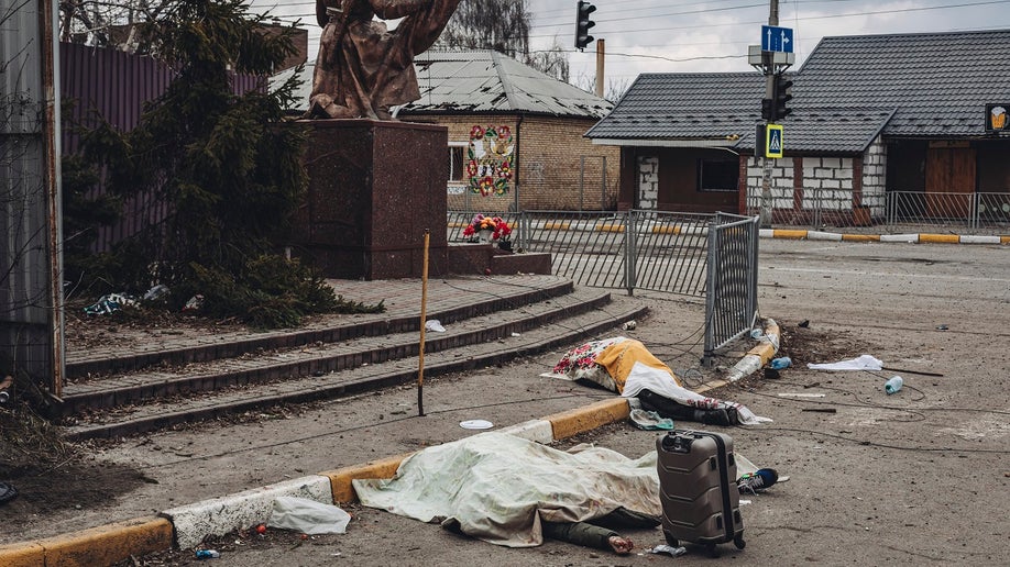 Ukraine invasion victims