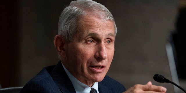 Dr. Anthony Fauci, director of the National Institute of Allergy and Infectious Diseases, speaks during a Senate Health, Education, Labor, and Pensions Committee hearing on Capitol Hill, Thursday, Nov. 4, 2021, in Washington, D.C.