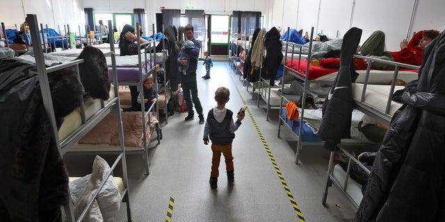 09 March 2022, Bavaria, Augsburg: A refugee boy from Ukraine holds a toy in his hand in the dormitory of the ANKER Center. 
