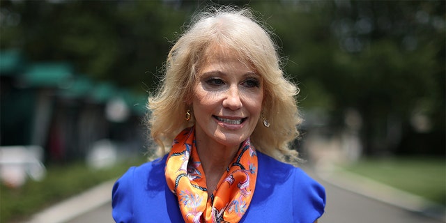 Kellyanne Conway, counselor to President Trump, on July 7, 2020 in Washington, D.C.  (Chip Somodevilla/Getty Images)