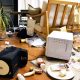 Cleanup begins after 7.4 magnitude Fukushima quake